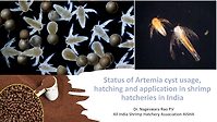 Status of Artemia cyst usage, hatching and application in shrimp hatcheries in India