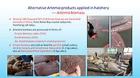 Use of Artemia cysts in hatchery in China