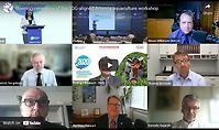 Opening ceremony of the SDG-aligned Artemia aquaculture workshop
