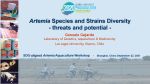 Artemia species and strains diversity: Threats and potential