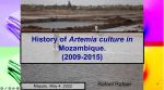 History of Artemia activities in Mozambique