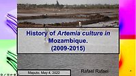 History of Artemia activities in Mozambique