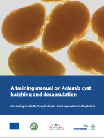 A training manual on Artemia cyst hatching and decapsulation