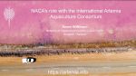 NACA's role with the International Artemia Aquaculture Consortium