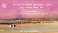 NACA's role with the International Artemia Aquaculture Consortium