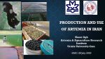 Production and use of Artemia in Iran