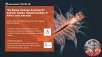 The brine shrimp Artemia in animal feeds: Opportunities in Africa and abroad
