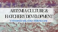Artemia culture and hatchery development: Universiti Malaysia Terengganu