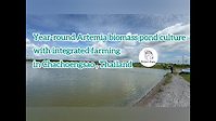 Year-round Artemia biomass pond culture with integrated farming in Chachoengsao, Thailand