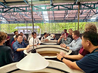 Tank culture at the UMT Artemia Hatchery