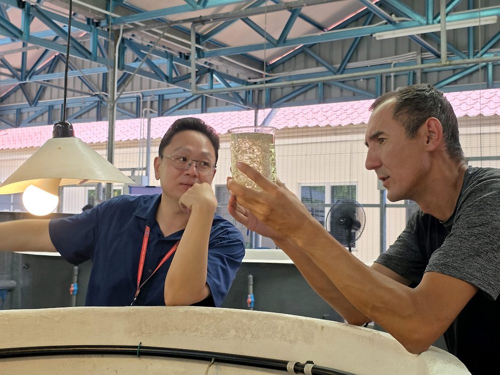 Darik Djiemuratov (right), a farmer from Uzbekistan inspects tank-grown Artemia at the Universiti Malaysia Terengganu Hatchery.