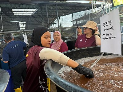 Artemia incubation,  Kembang Subur Hatchery