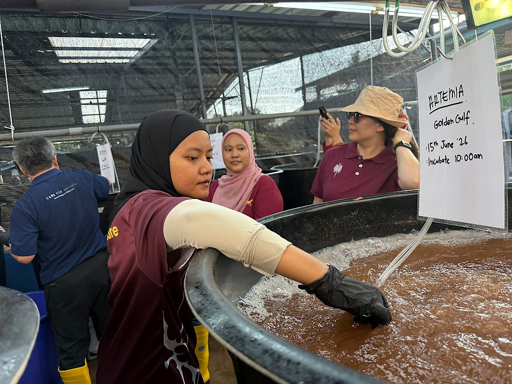 Artemia incubation,  Kembang Subur Hatchery