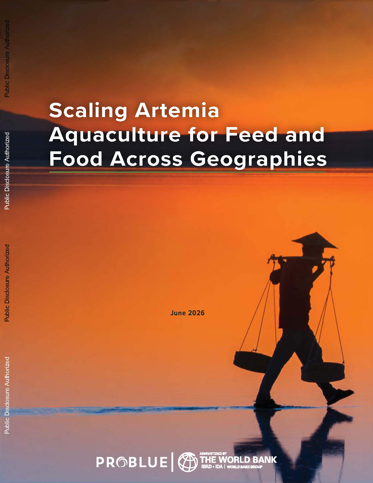 Scaling Artemia Aquaculture for Feed and Food Across Geographies