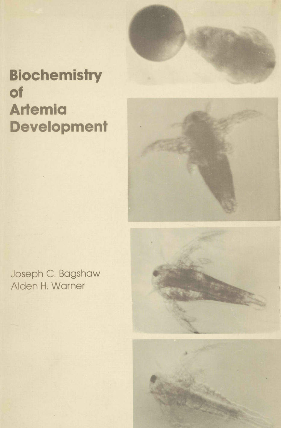 Biochemistry of Artemia Development (1979)